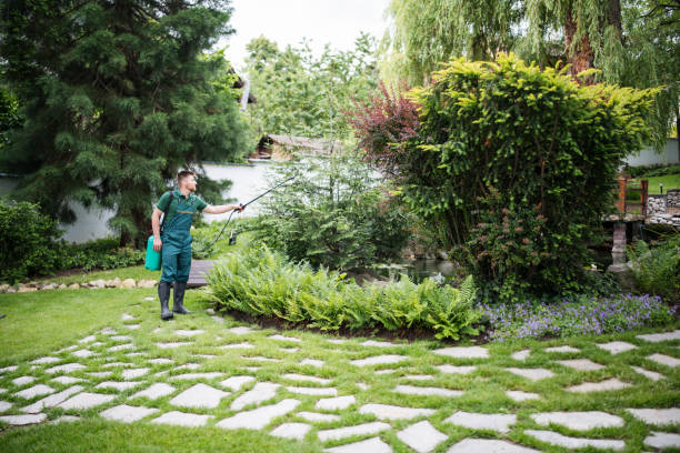 Best Best Pest Control Companies  in Godley, TX