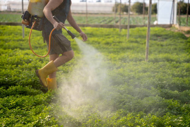 Reliable Godley, TX Pest Control Solutions