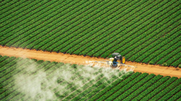 Best Pest Inspection Near Me  in Godley, TX