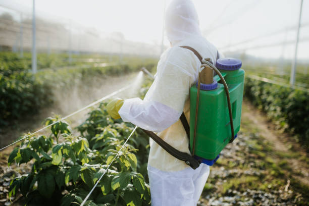  Godley, TX Pest Control Pros